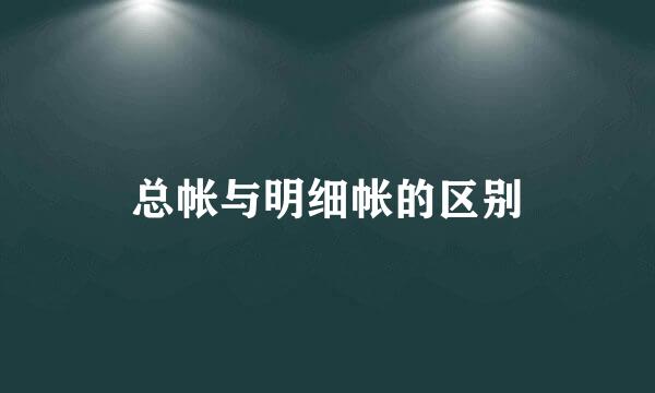 总帐与明细帐的区别