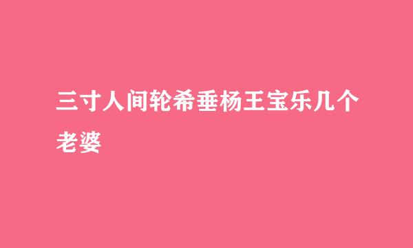 三寸人间轮希垂杨王宝乐几个老婆