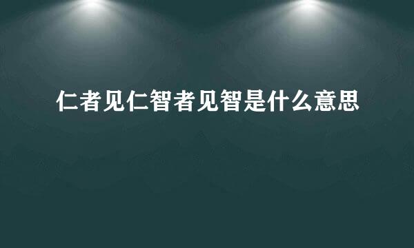 仁者见仁智者见智是什么意思