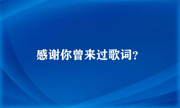 感谢你曾来过歌词？