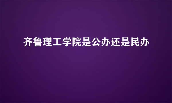 齐鲁理工学院是公办还是民办