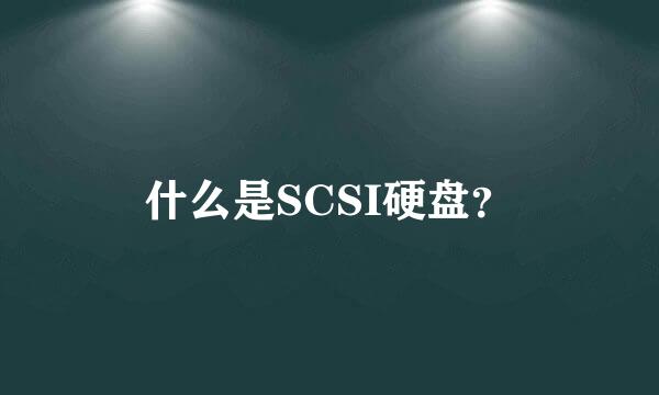 什么是SCSI硬盘？