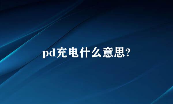 pd充电什么意思?