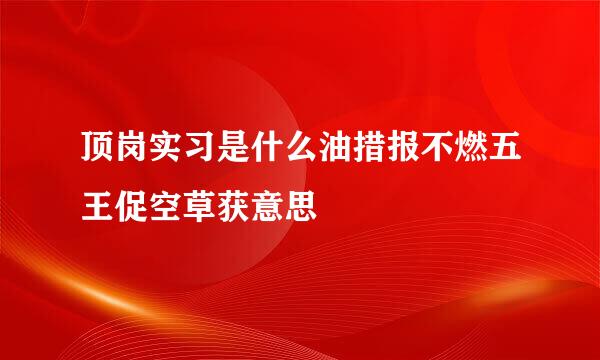 顶岗实习是什么油措报不燃五王促空草获意思