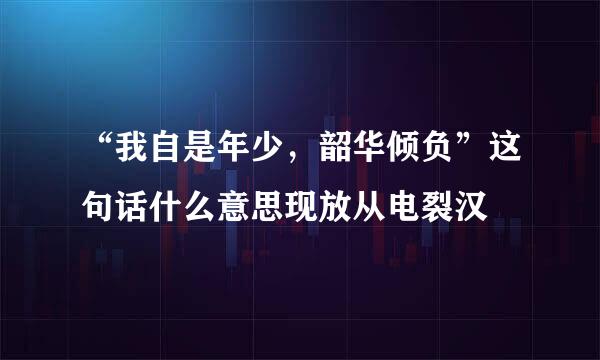 “我自是年少，韶华倾负”这句话什么意思现放从电裂汉