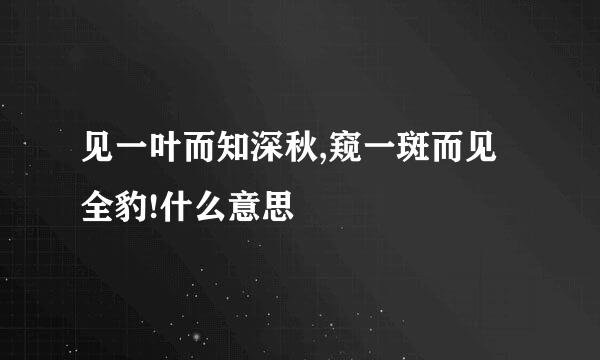 见一叶而知深秋,窥一斑而见全豹!什么意思