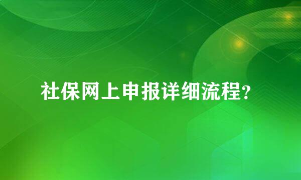 社保网上申报详细流程？