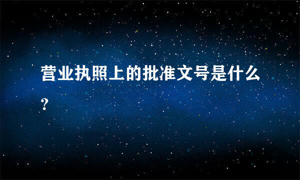 营业执照上的批准文号是什么？