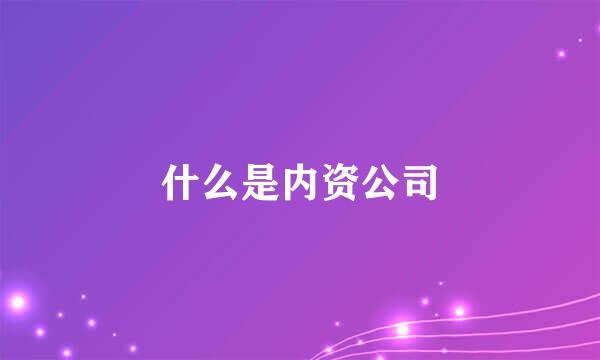 什么是内资公司