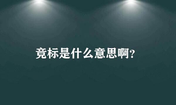 竞标是什么意思啊？