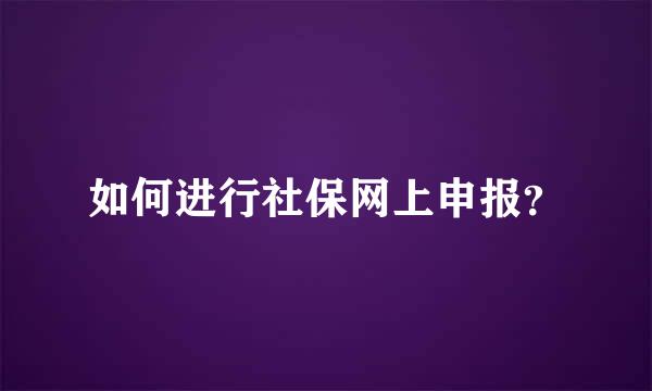 如何进行社保网上申报？