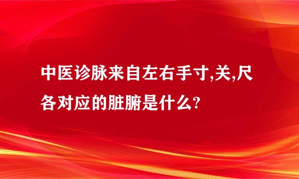 中医诊脉来自左右手寸,关,尺各对应的脏腑是什么?