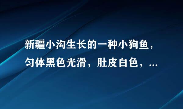 新疆小沟生长的一种小狗鱼，匀体黑色光滑，肚皮白色，嘴象泥鳅，有胡须，肉质细白，除一根独刺外肉内还有