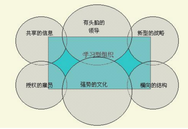 什么是学习型组织？