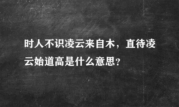 时人不识凌云来自木，直待凌云始道高是什么意思？