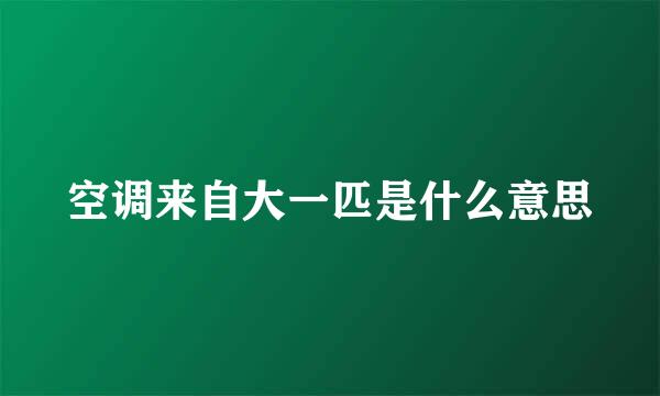 空调来自大一匹是什么意思