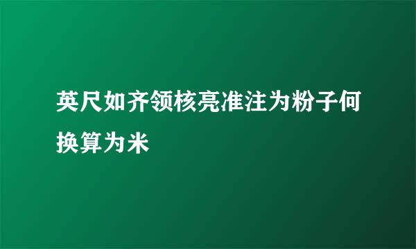 英尺如齐领核亮准注为粉子何换算为米