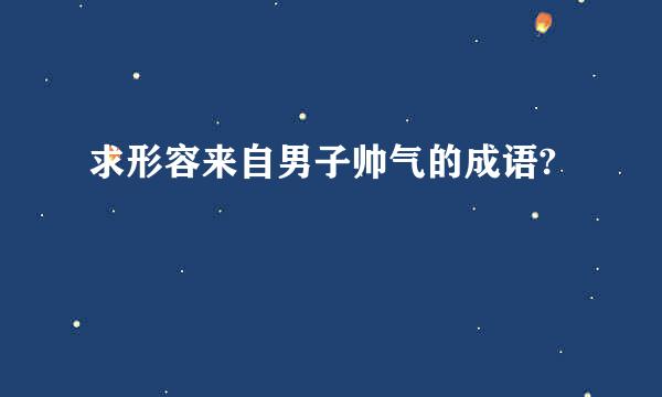 求形容来自男子帅气的成语?