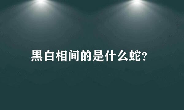 黑白相间的是什么蛇？