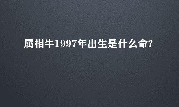 属相牛1997年出生是什么命?