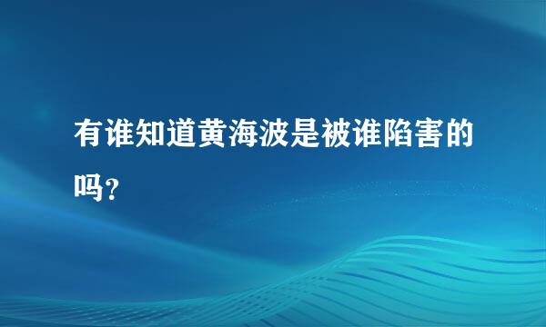 有谁知道黄海波是被谁陷害的吗？