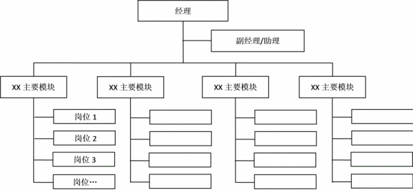 公司的管理组织架构是什么样的？