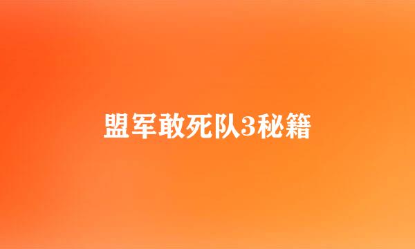 盟军敢死队3秘籍