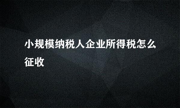 小规模纳税人企业所得税怎么征收