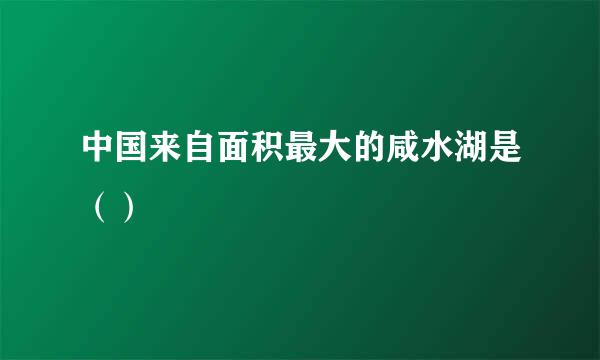 中国来自面积最大的咸水湖是（）