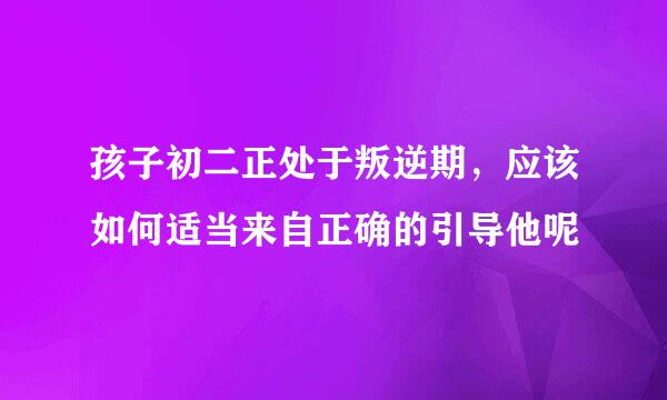 孩子初二正处于叛逆期，应该如何适当来自正确的引导他呢