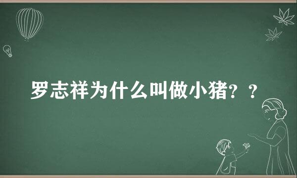 罗志祥为什么叫做小猪？？