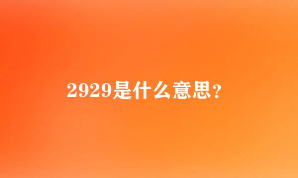 2929是什么意思？