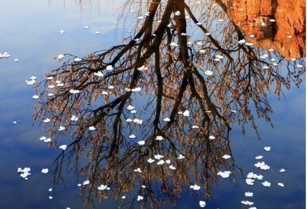 沾衣欲湿杏花雨 吹面不寒杨柳风是什么意思