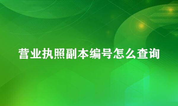 营业执照副本编号怎么查询