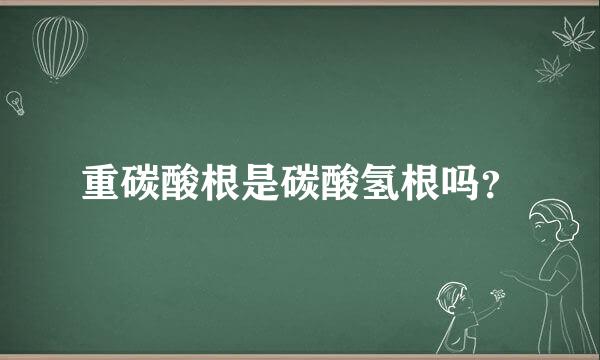 重碳酸根是碳酸氢根吗？