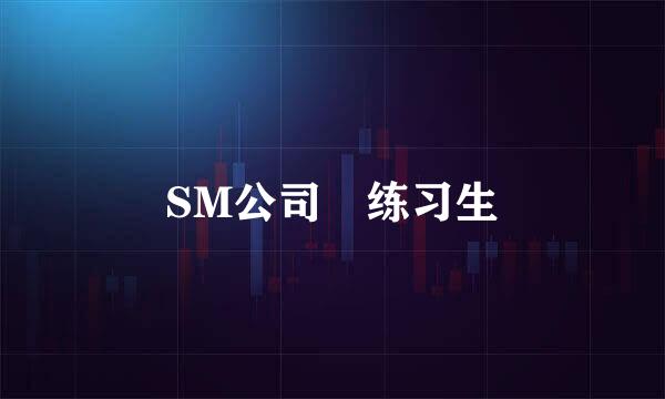 SM公司 练习生