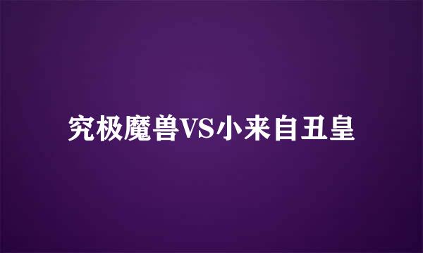 究极魔兽VS小来自丑皇