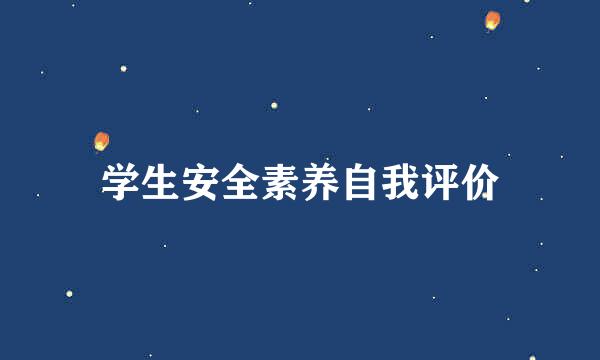 学生安全素养自我评价