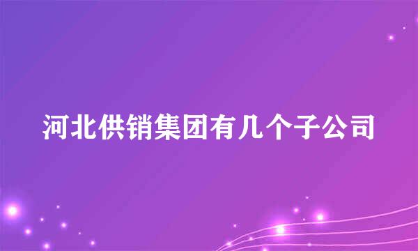 河北供销集团有几个子公司