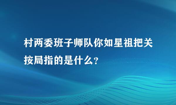 村两委班子师队你如星祖把关按局指的是什么？