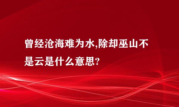 曾经沧海难为水,除却巫山不是云是什么意思?