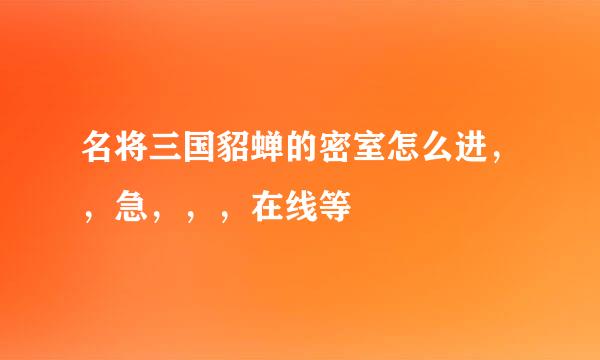 名将三国貂蝉的密室怎么进，，急，，，在线等