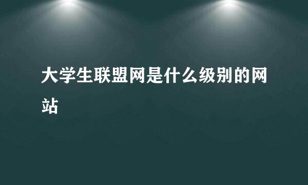 大学生联盟网是什么级别的网站