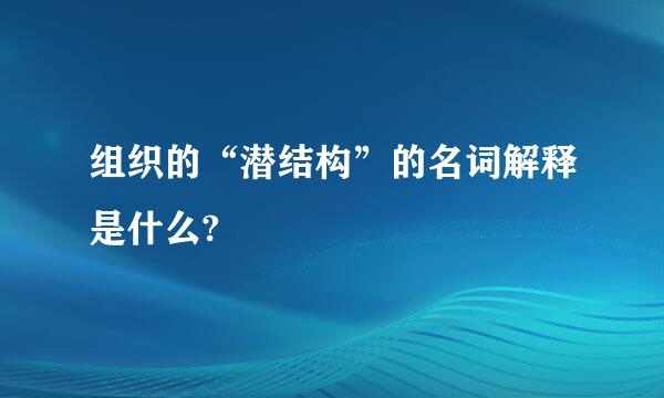 组织的“潜结构”的名词解释是什么?