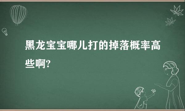 黑龙宝宝哪儿打的掉落概率高些啊?