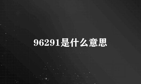 96291是什么意思