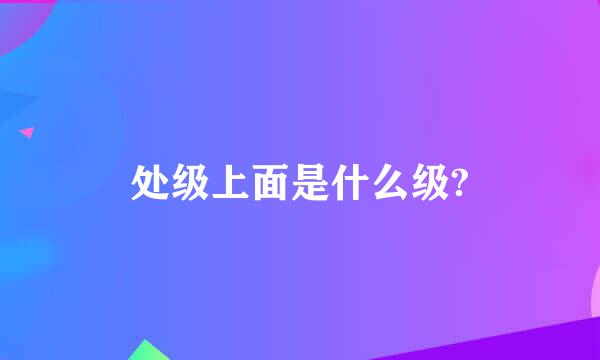 处级上面是什么级?