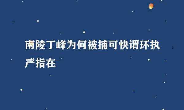 南陵丁峰为何被捕可快谓环执严指在