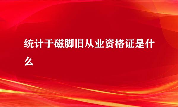 统计于磁脚旧从业资格证是什么