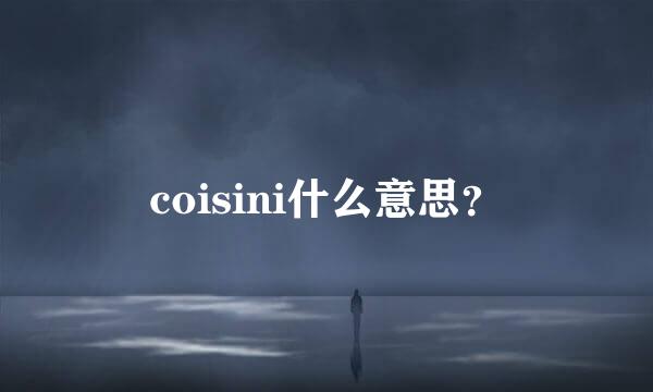 coisini什么意思？